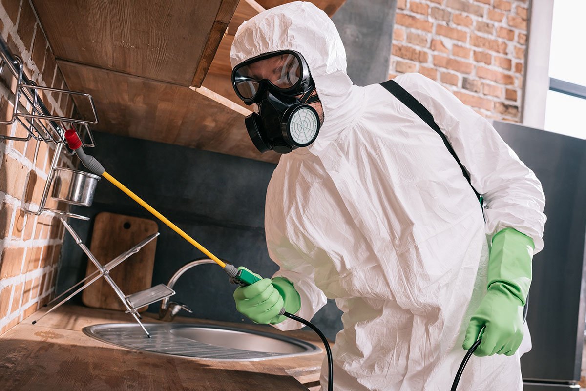 pest control worker spraying pesticides on metal s 2022 12 16 20 42 17 utc